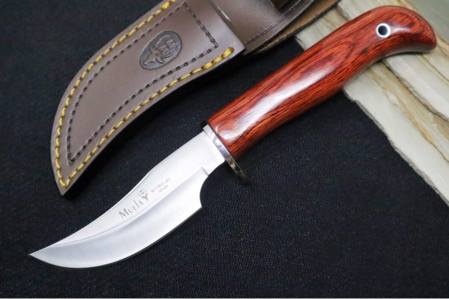 Muela Knives DP-10R Fixed Blade - Coral Pakkawood Handle / X50CrMoV15 Stainless
