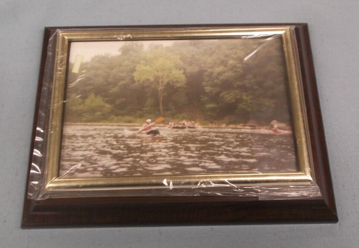6 x 8 cherry finish plaque holds 4 x 6 photo gold self adhesive frame hanging
