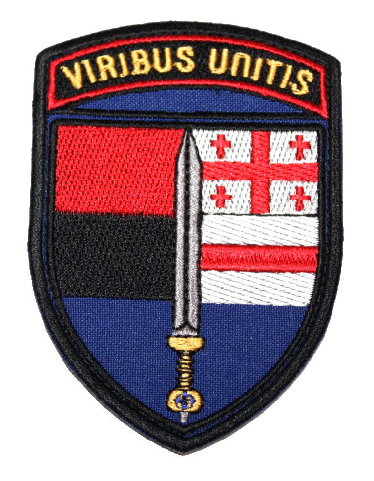 Patch Ukraine Army 2nd International Legion Defence Ukraine Volunteer Badge Hook