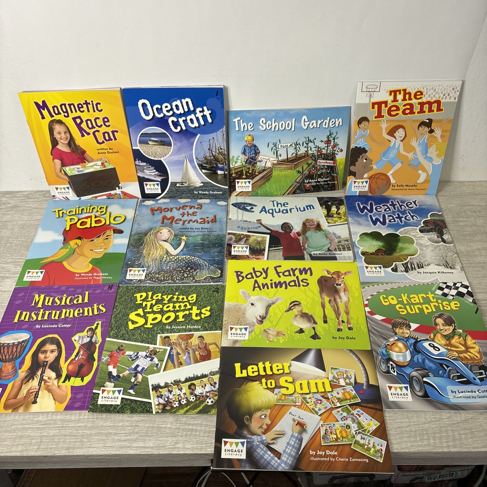Lot of 13 Engage Literacy Early Fluent/Fluent Children’s Learning Books