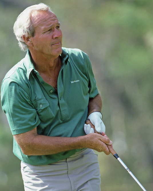 1986 Golfer ARNOLD PALMER Glossy 8x10 Photo Golf Print Poster Masters US Open