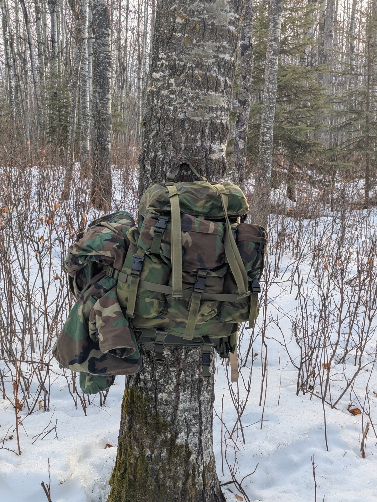 Medium Alice Pack Woodland Complete With Accessories