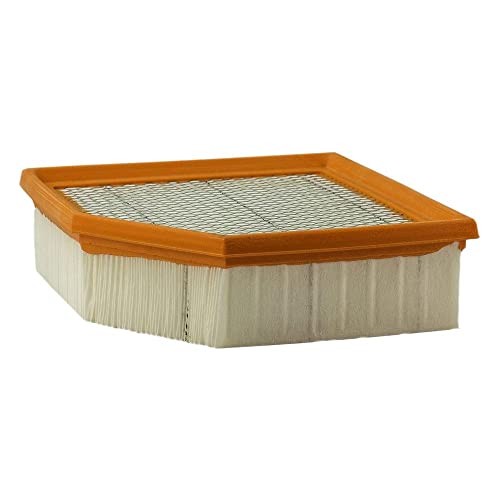 Extra Guard CA11431 Replacement Engine Air Filter for Select 2013 One Size