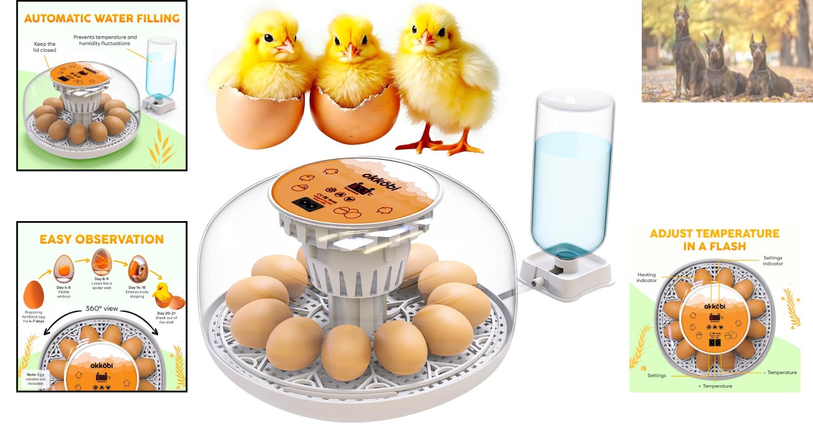 Okkobi M12 Automatic Egg Incubator with Humidity Control - 12/24 Eggs Capacity