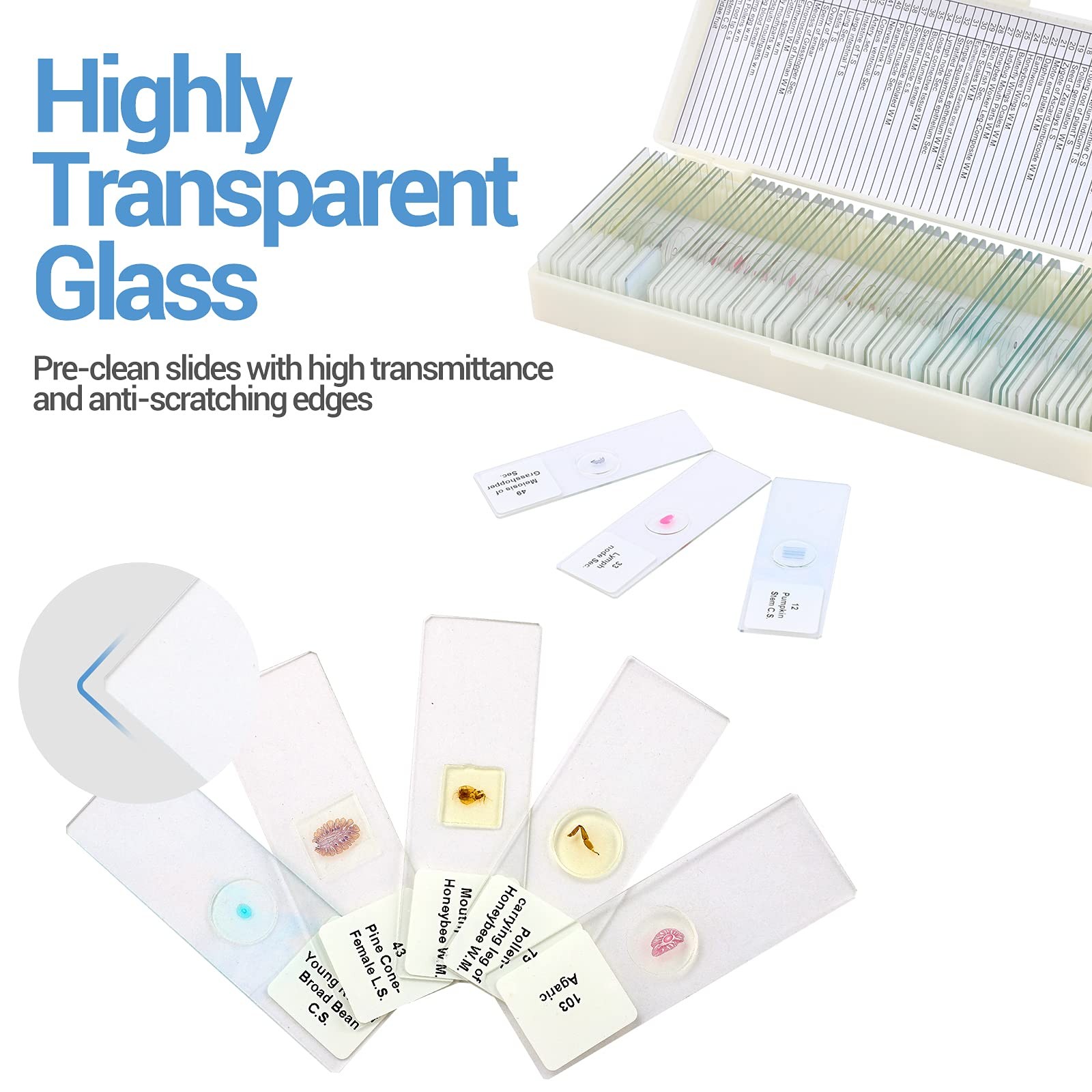 60 Microscope Slides with Specimens for Kids, Prepared 60pcs, Beige
