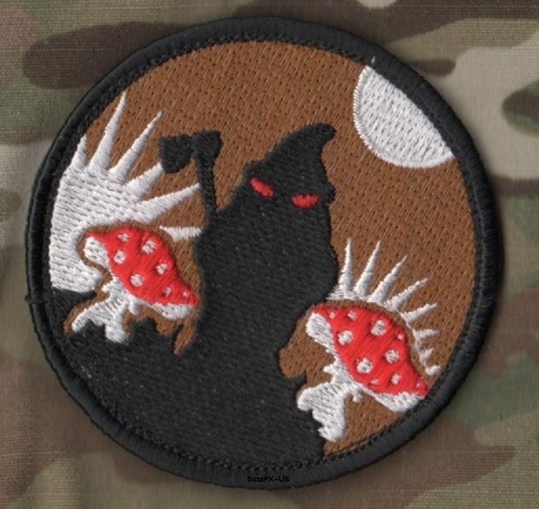 SECURITY CUSTOMS 'N BORDER PROTECTION HOMELAND SP OPERATIONS vêlkrö ¾ DD PATCH