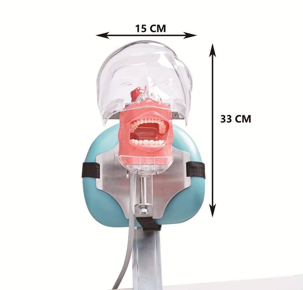 Dental Manikin Phantom Head Model Training Simulator Installed on Chair Headrest