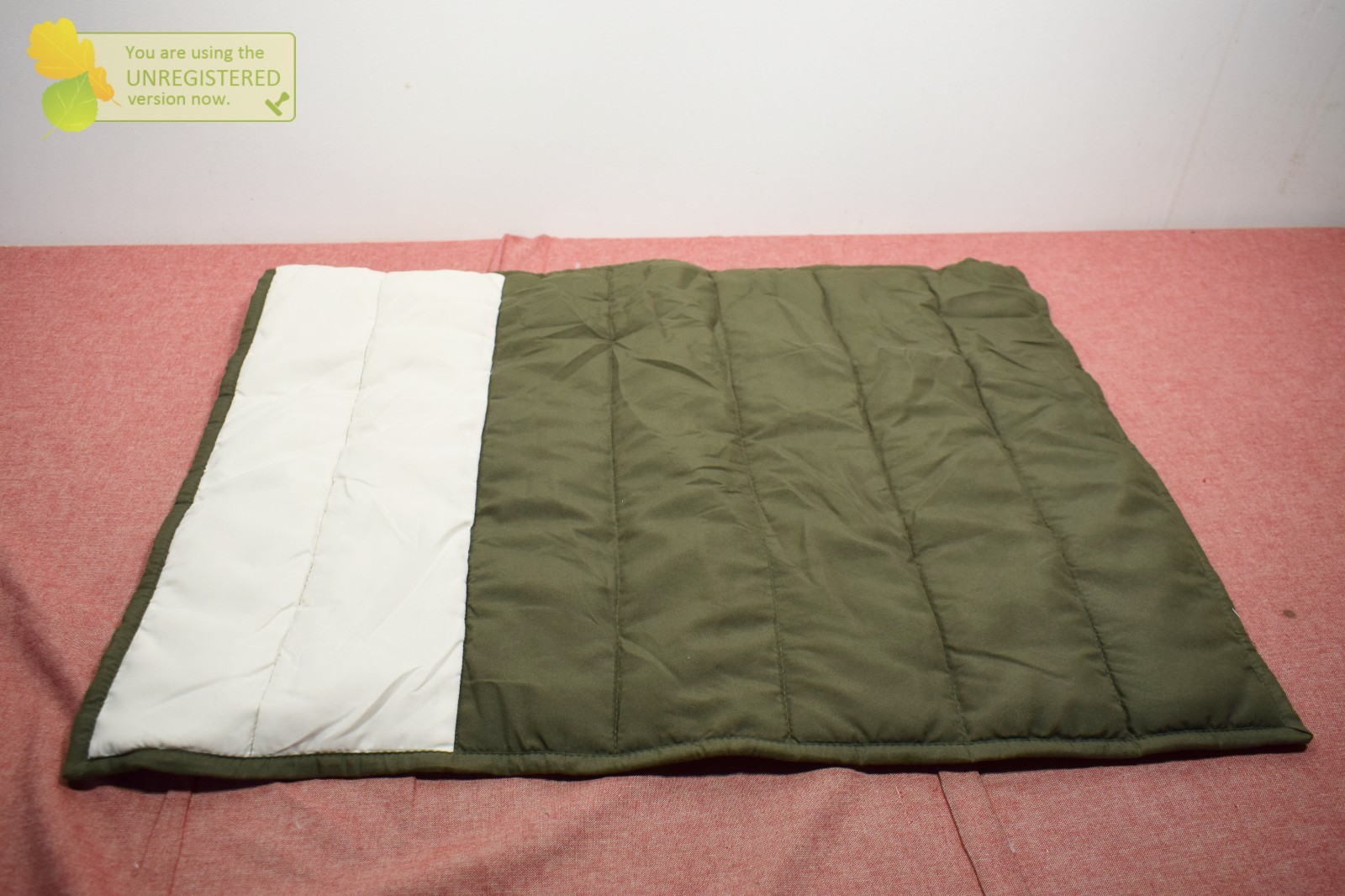 Green & White Pillow Sham 20x26"