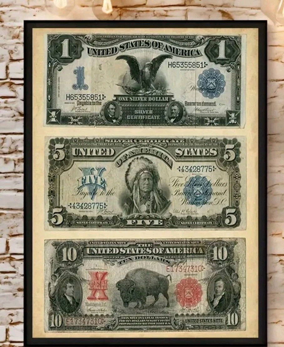 Canvas Art Rare Currency $1 Black Eagle $5 Indian Chief $10 Bison New!