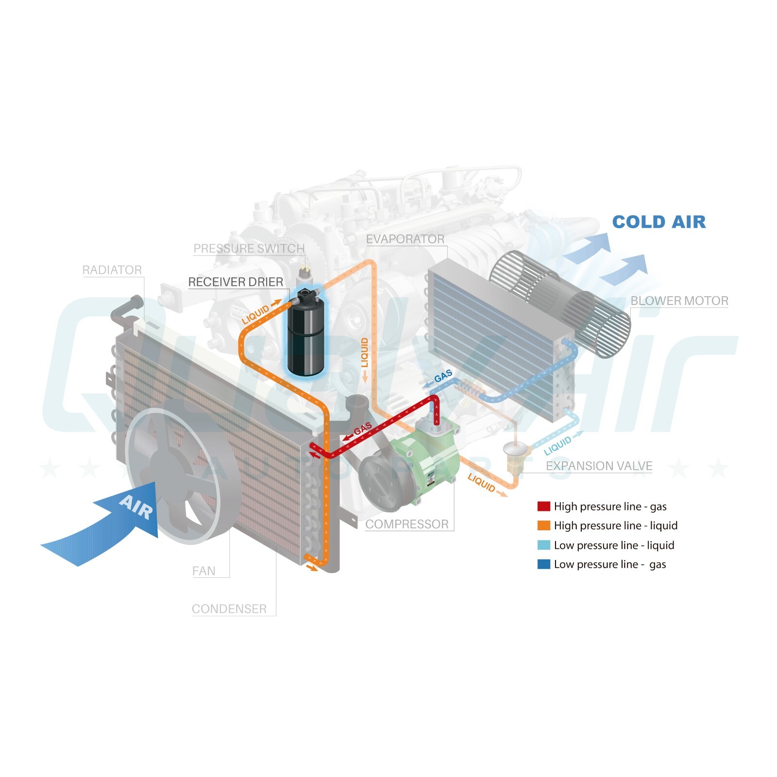 AC Receiver Drier fits Ford Windstar QR