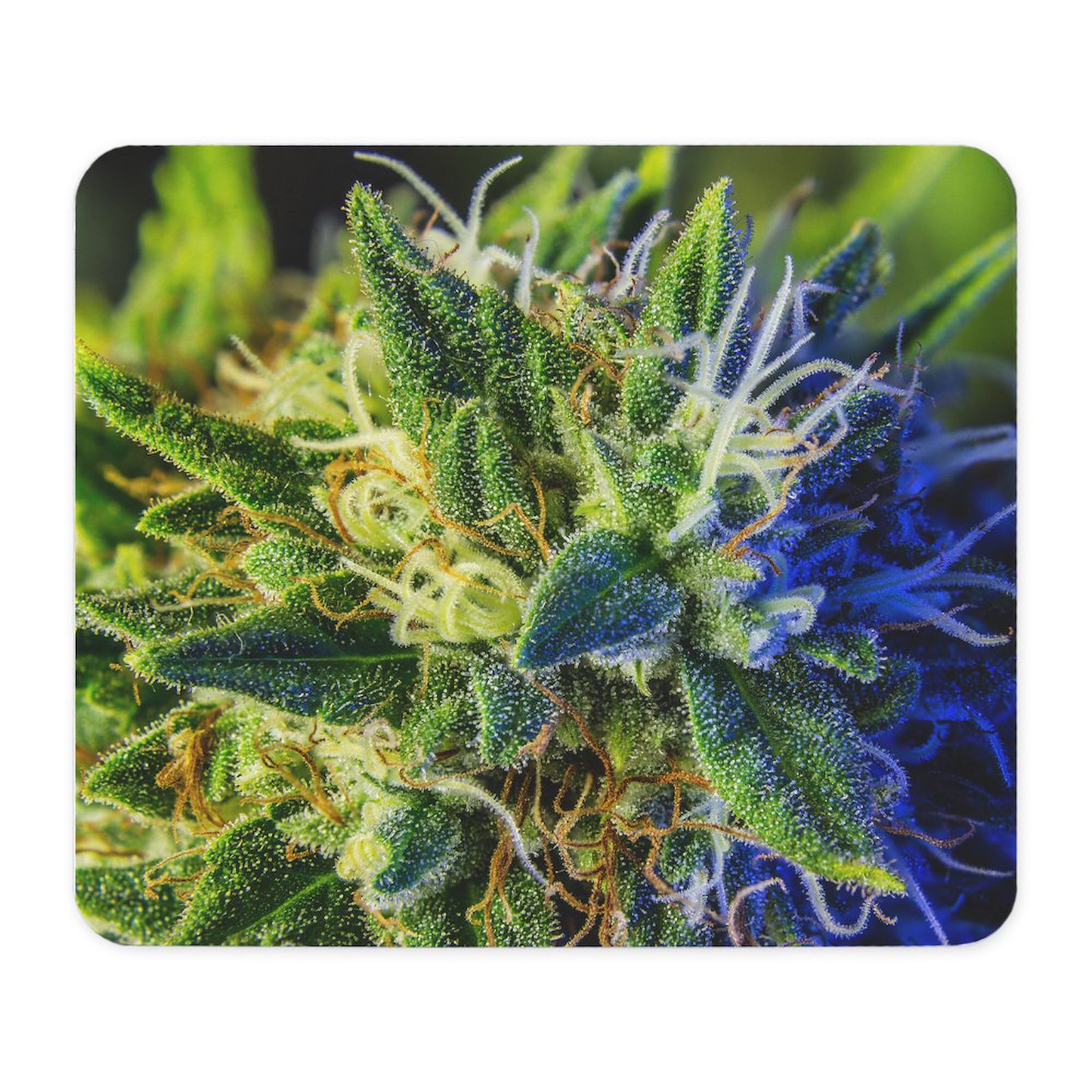 CafePress Glistening Trichomes Mousepad  (1164791551)