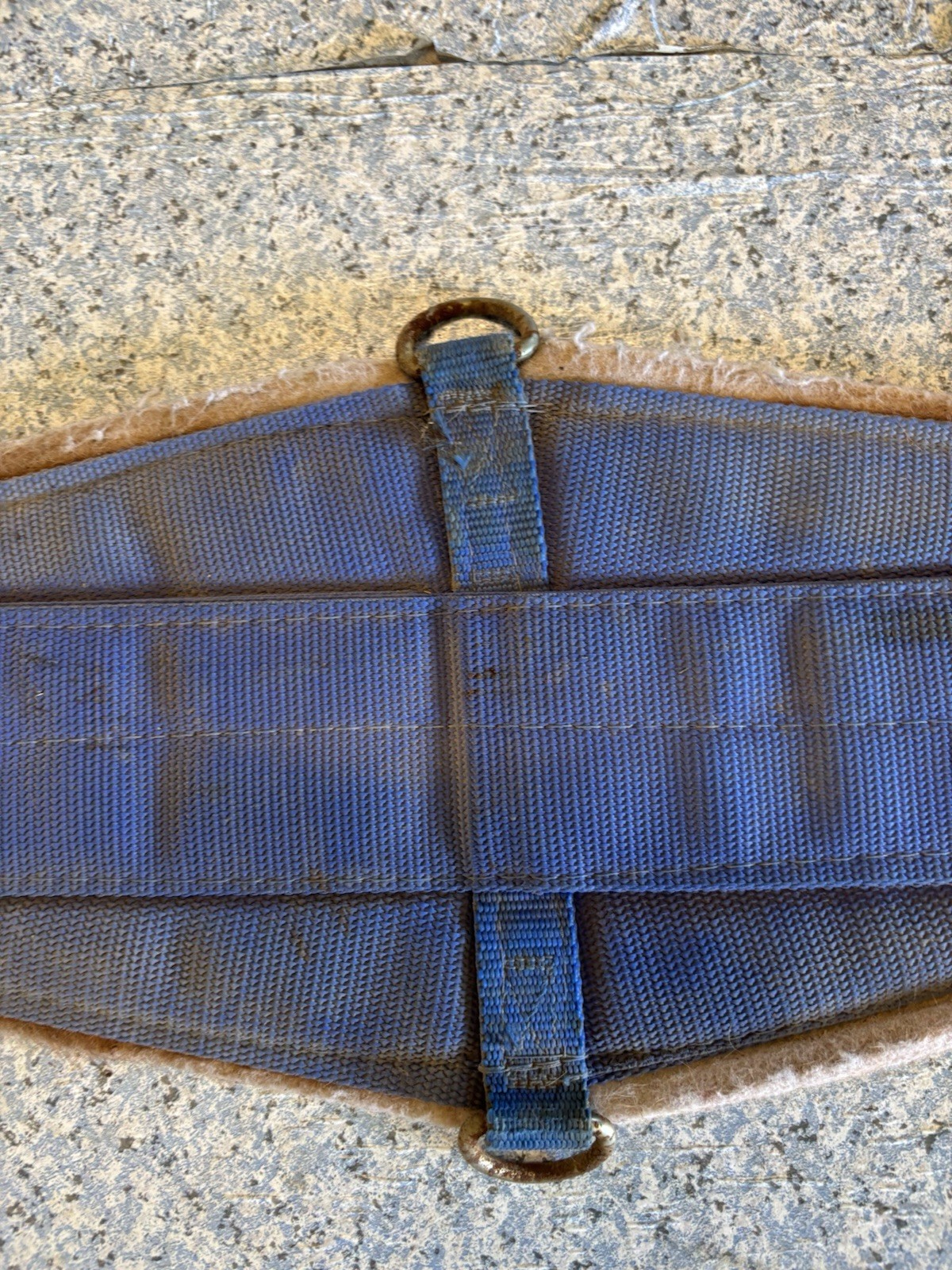 Felt Western Cinch