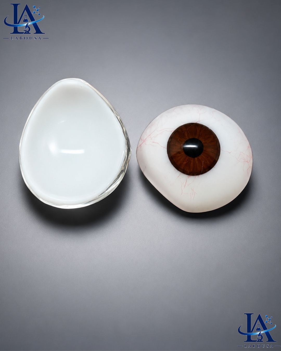 Single Artificial Human Eye Dark Brown Realistic Prosthetic free Shipping