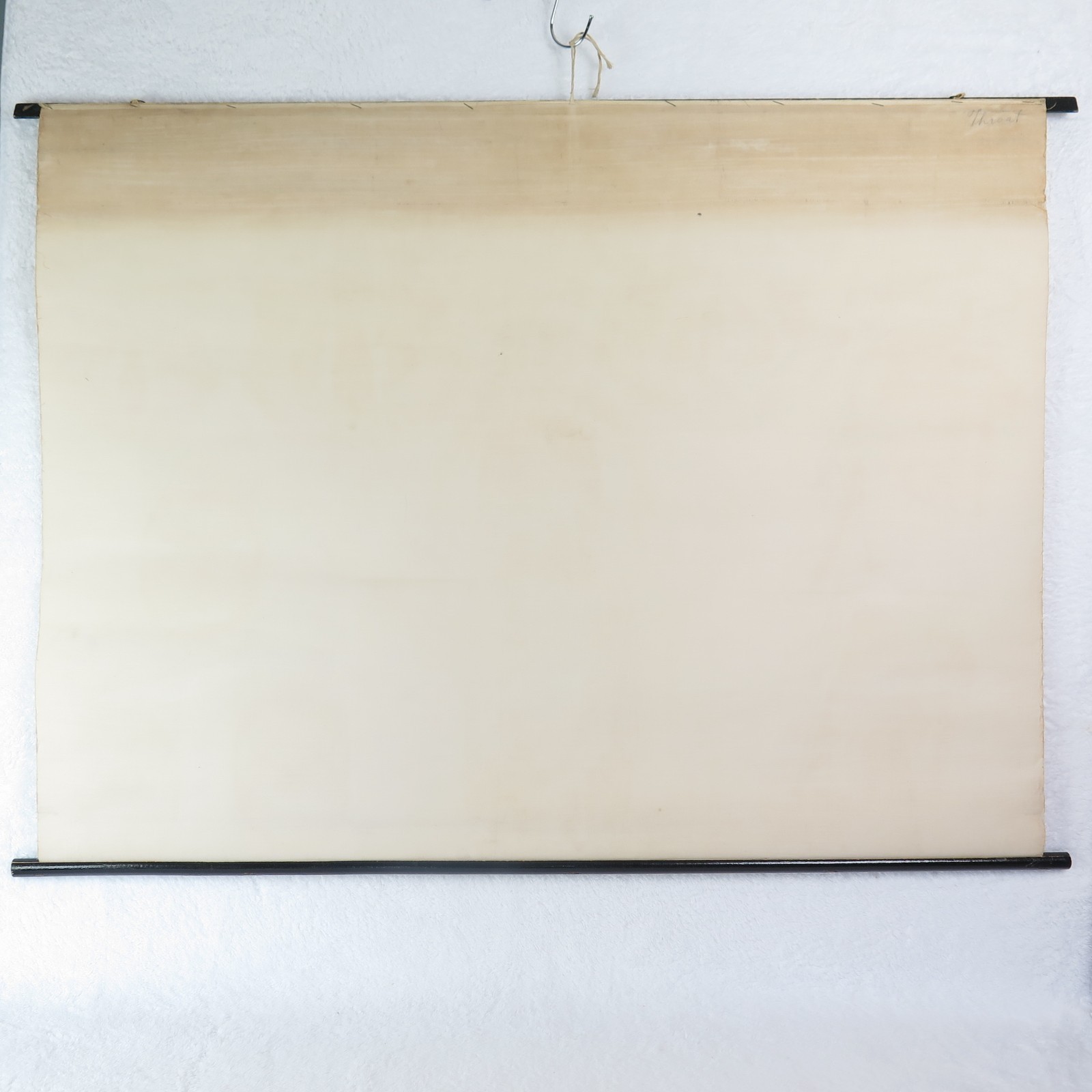 Vintage Larynx & Pharynx Chart Pull Down School Science Academia USA Made Canvas