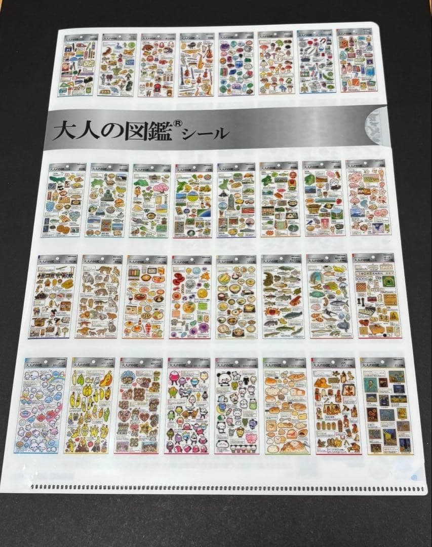 Kamio Japan Adult Picture Book Sticker Clear File Stationery Women's Expo