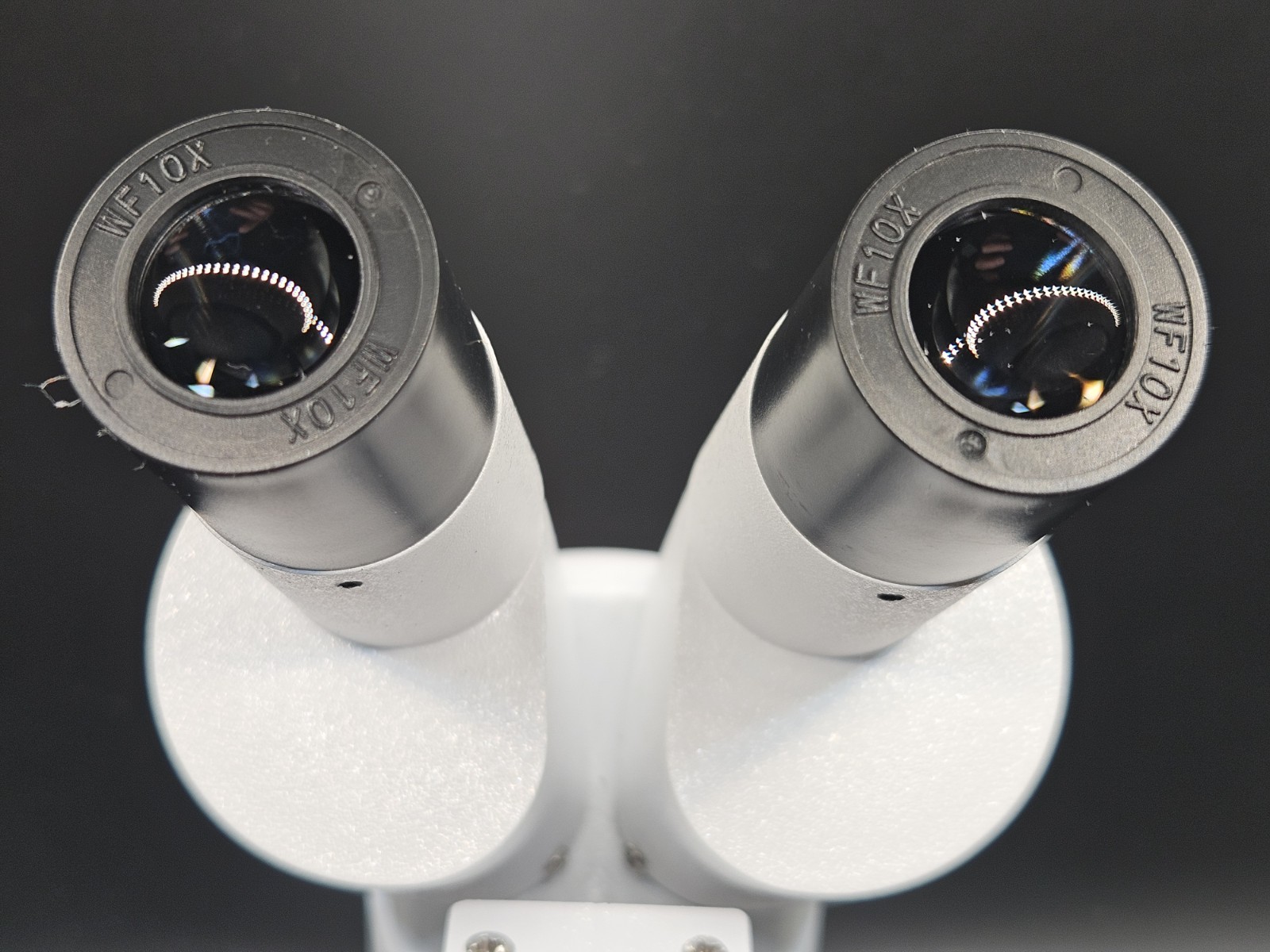 Entry Level Microscope with 20x magnification and light