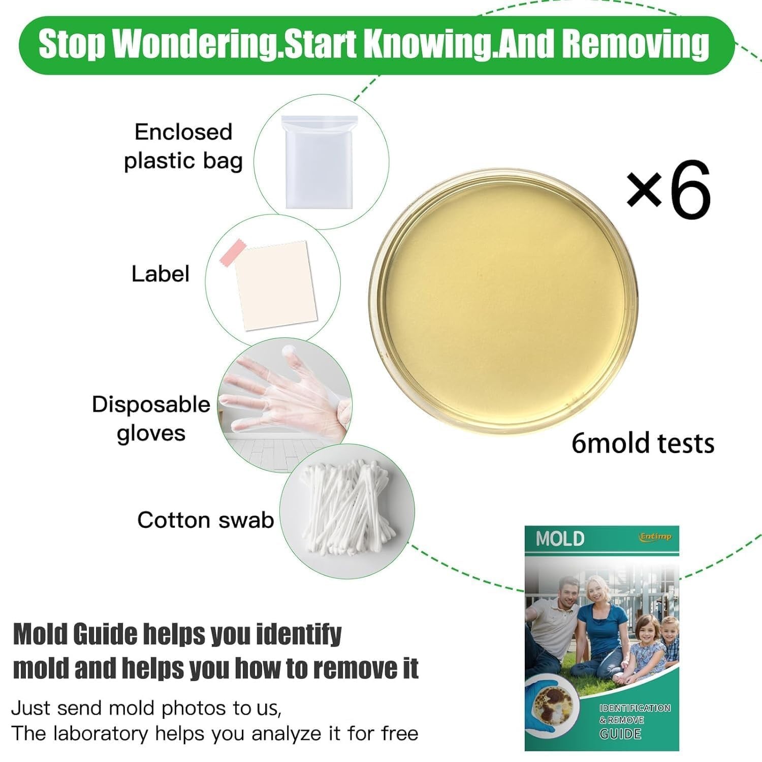 Complete DIY Mold Testing Kit with Free Lab Analysis & Identification Guide