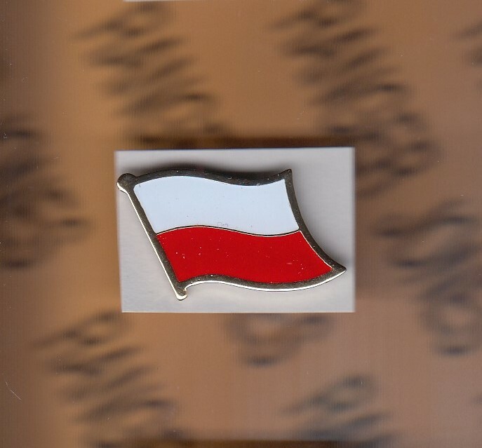 POLAND Patriotic Country waving flag 1" lapel pin badge c/b