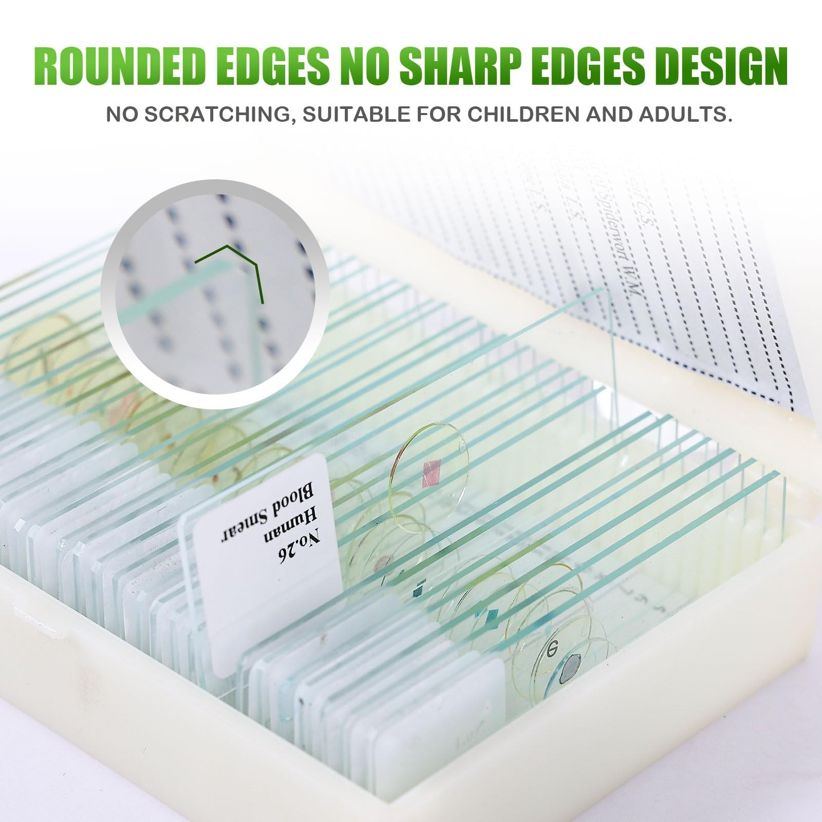 120 Microscope Slides with Specimens, Plant, Insect, Animal, Algae Slide Set ...
