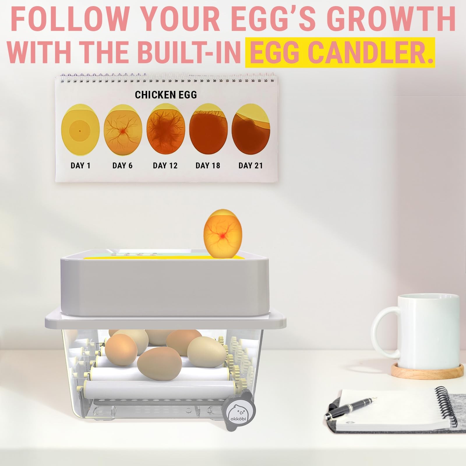 OBI-36 Egg Incubator for Hatching - 36 Eggs - Stable Temperature & Yellow