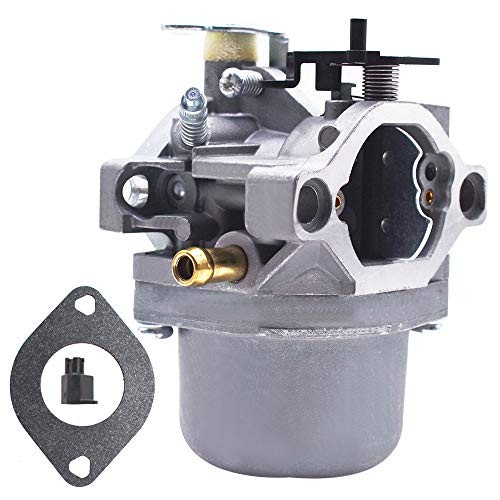 Carburetor Kit for 799728 498027 498231 499161 495706 494502 494392 498134