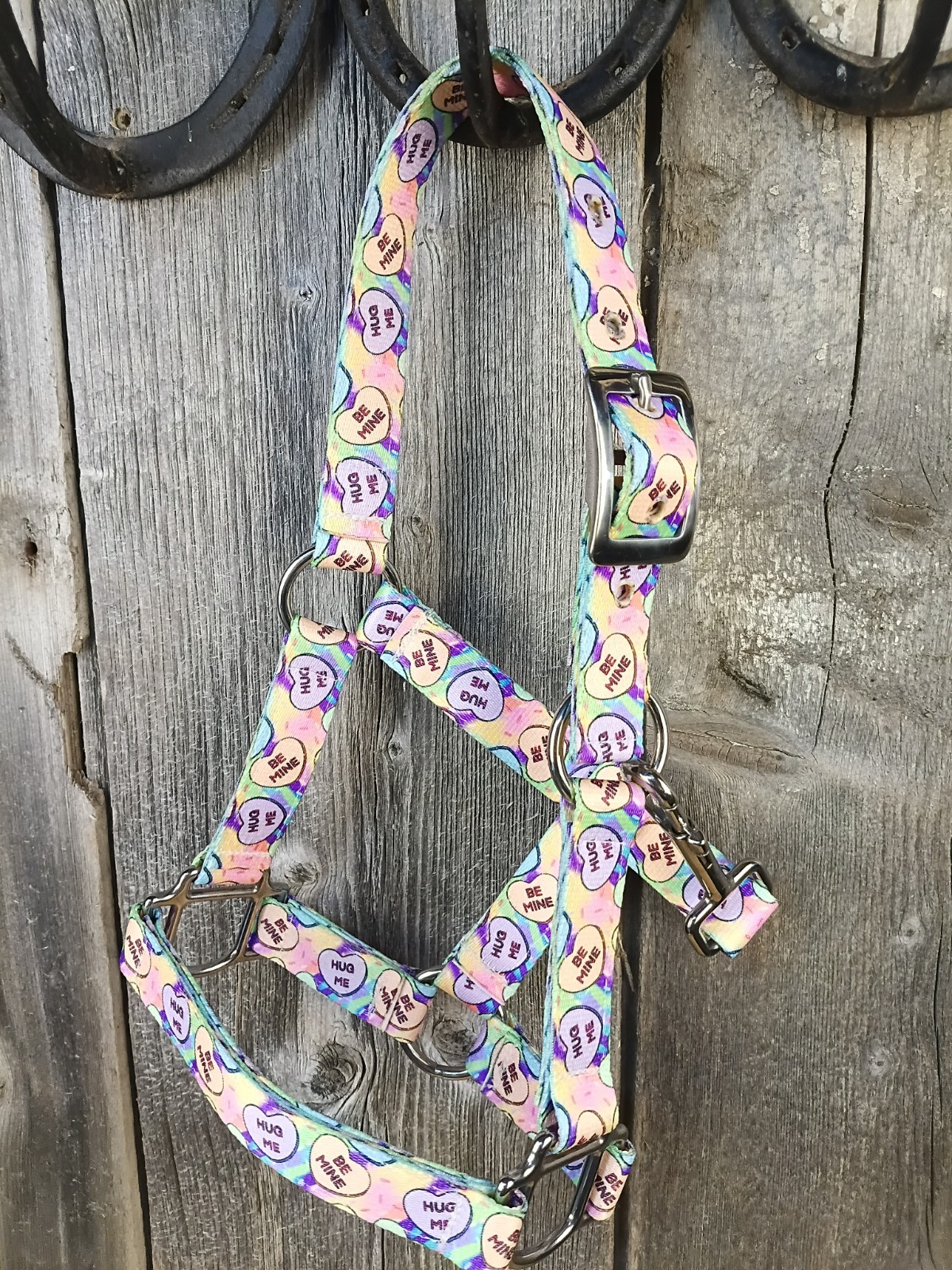 Custom Miniature Pony Halter ' Conversation Hearts' By Hot Headstalls