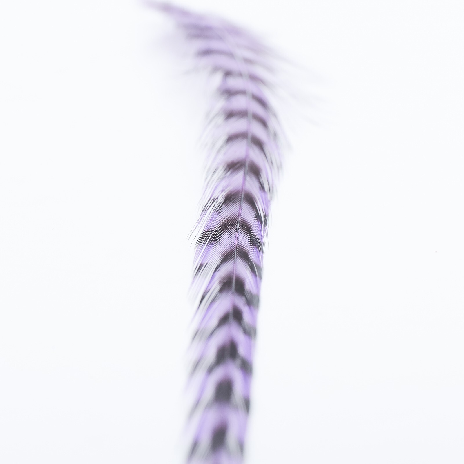 Metz Hackle Deceiver Pack - Grizzly/Purple