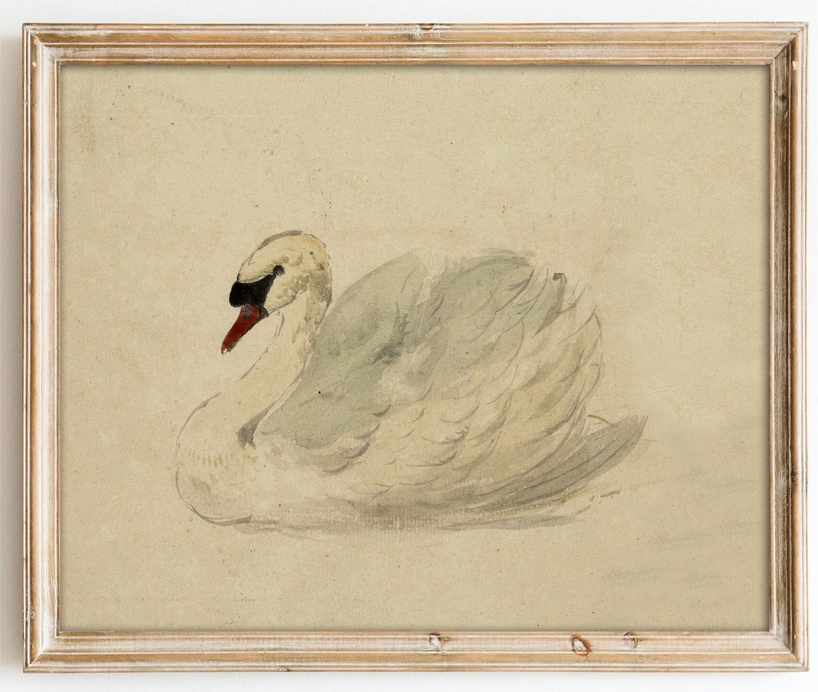 Kizbok Vintage Wall Art Decor Classical Swan 10"L x 8"W,