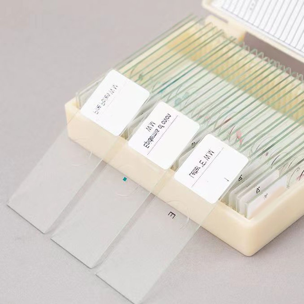 Set Of Childrens Microscope Slides With Various Prepared Specimens 30 50