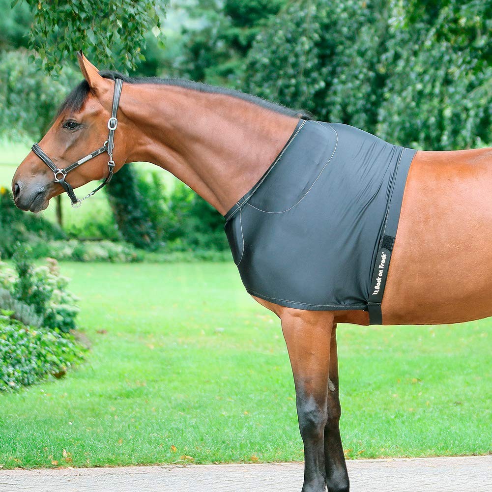 Therapeutic Equine Shoulder Guard 81