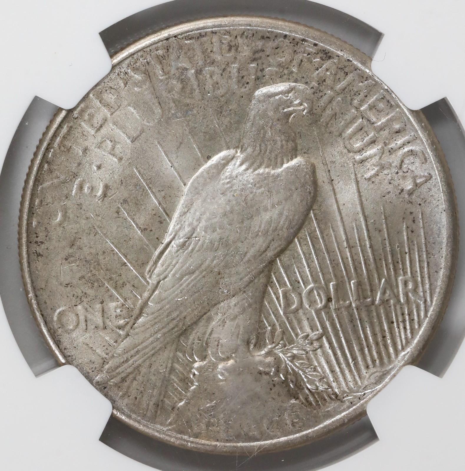 1925 P Peace Silver Dollar NGC MS64 Uncirculated