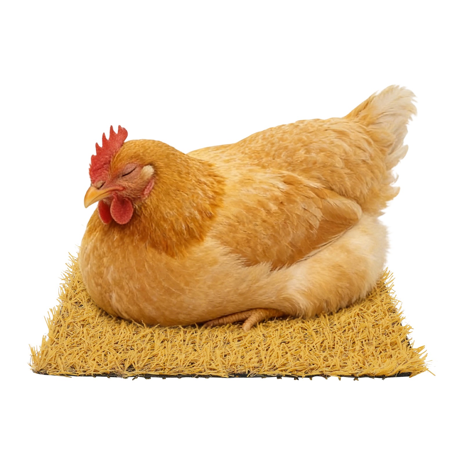 24 Pack Flame Retardant Chicken Nesting Box Pads, Nesting Pad for Chicken Coop