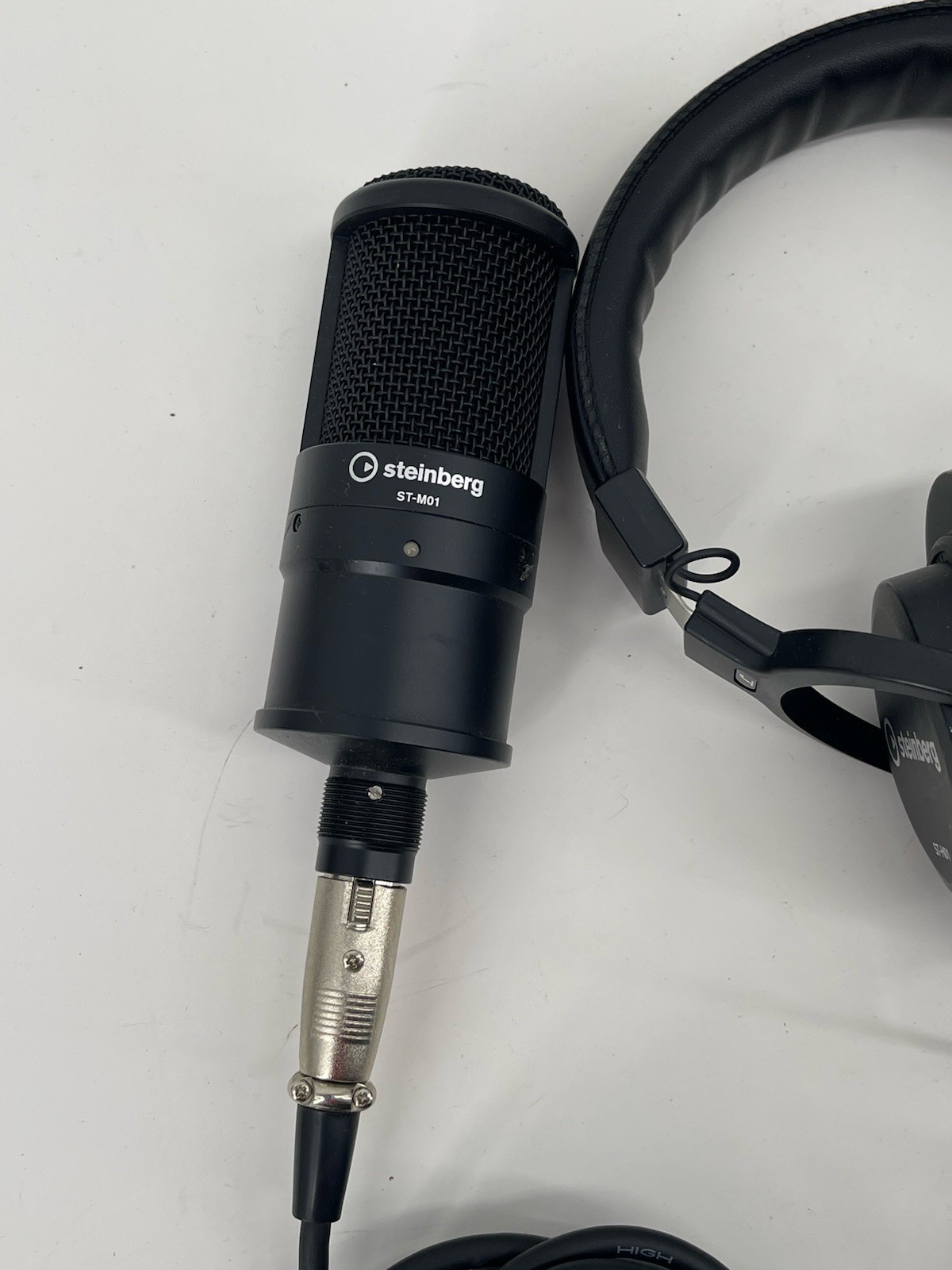 Steinberg ST-M01 Condenser Microphone ST-H01 Studio Headphones XLR Cable Bundle