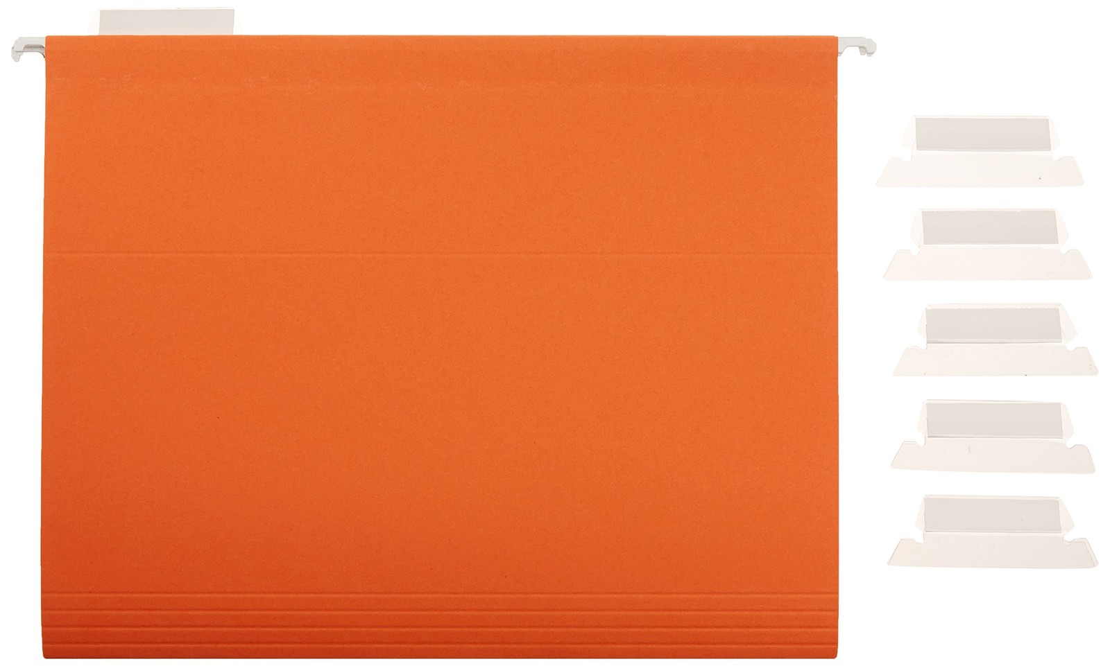 Amazon Basics Hanging Organizer File Folders for Efficient Letter, Assorted