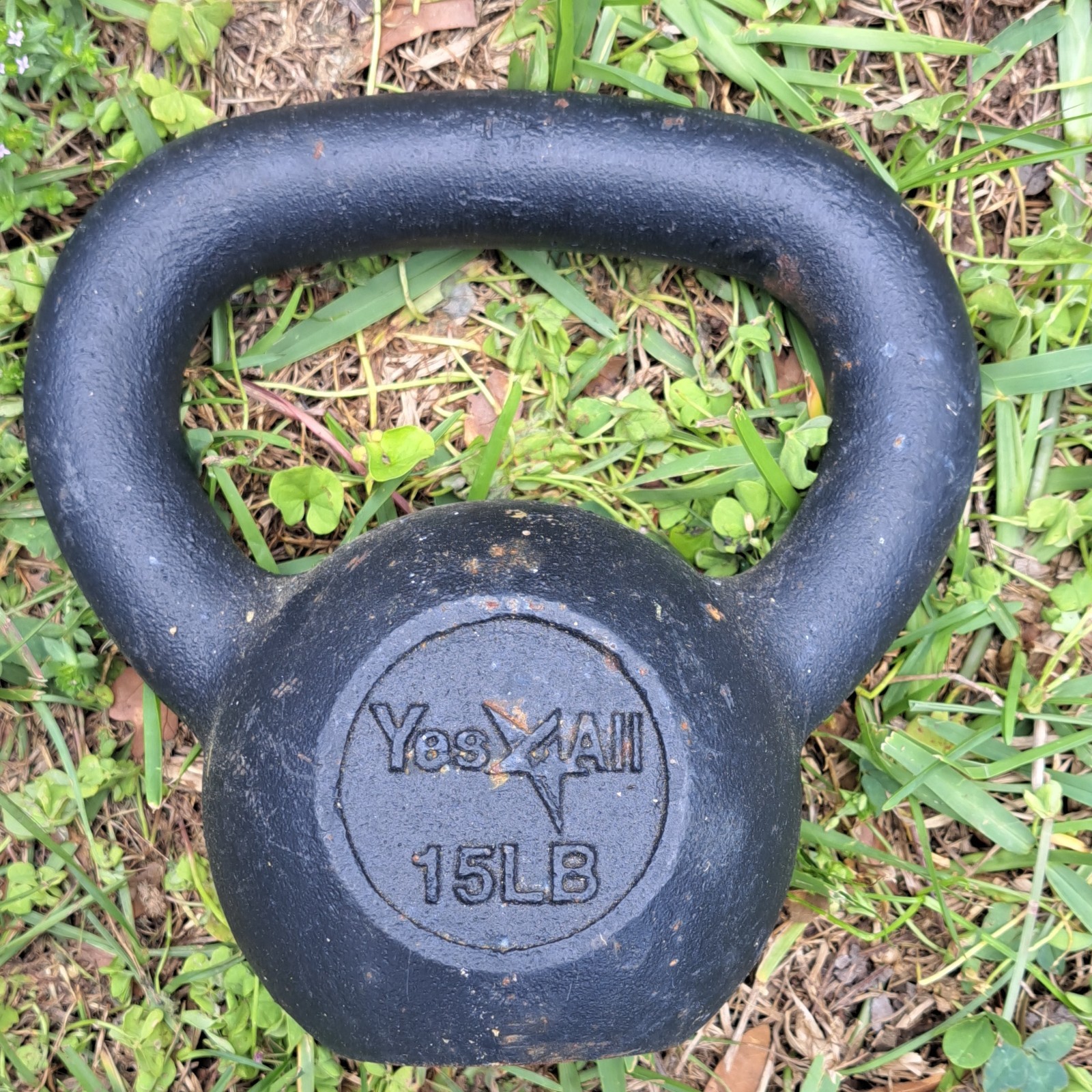 Yes4All 15 lb Black Cast Iron Kettlebell Ergonomic Handle Gym Fitness