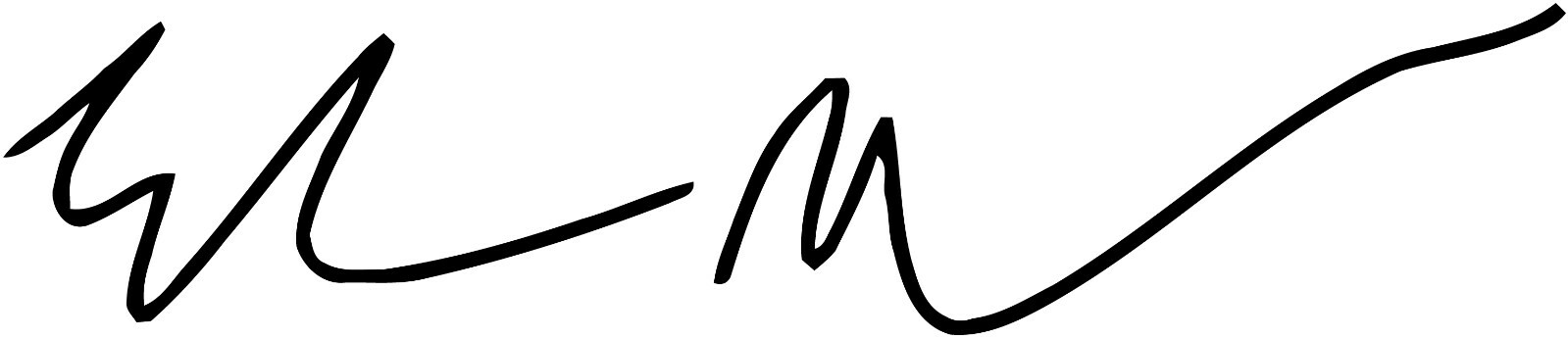 Tesla Elon Musk Signature VINYL DECAL Model 3 S X BLACK 9x2 inch Dash Charger