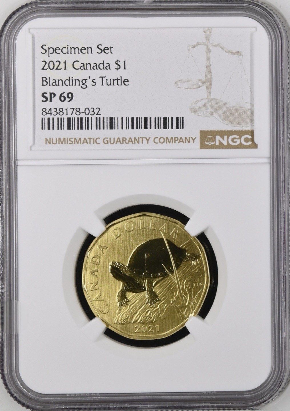 2021 Canada $1 BLANDING'S TURTLE Specimen NGC SP69