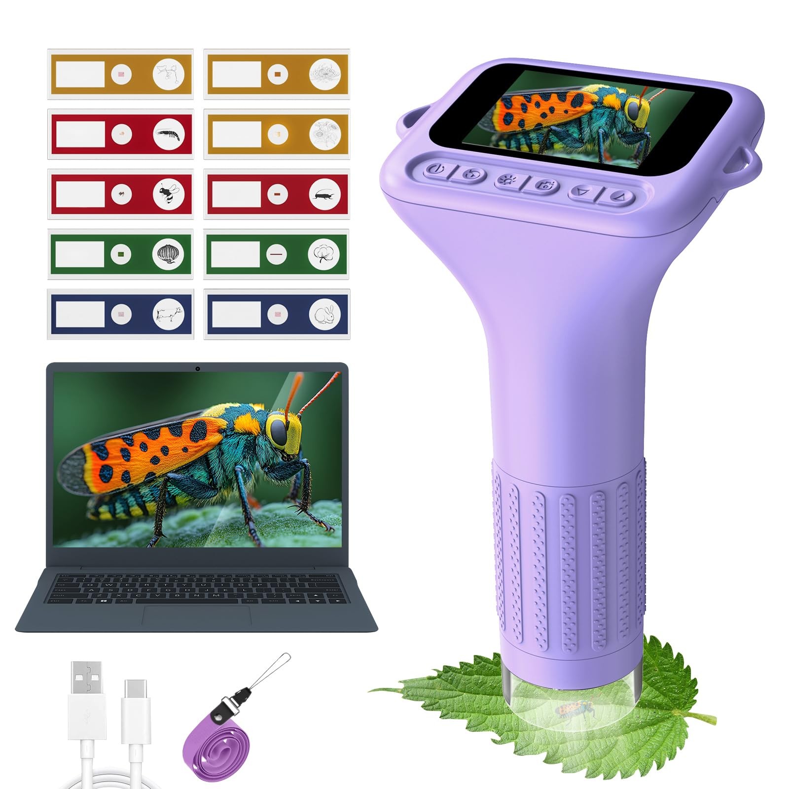 Digital Microscope for 5-7: 1000x Handheld Microscope with Screen 2" inch Poc...