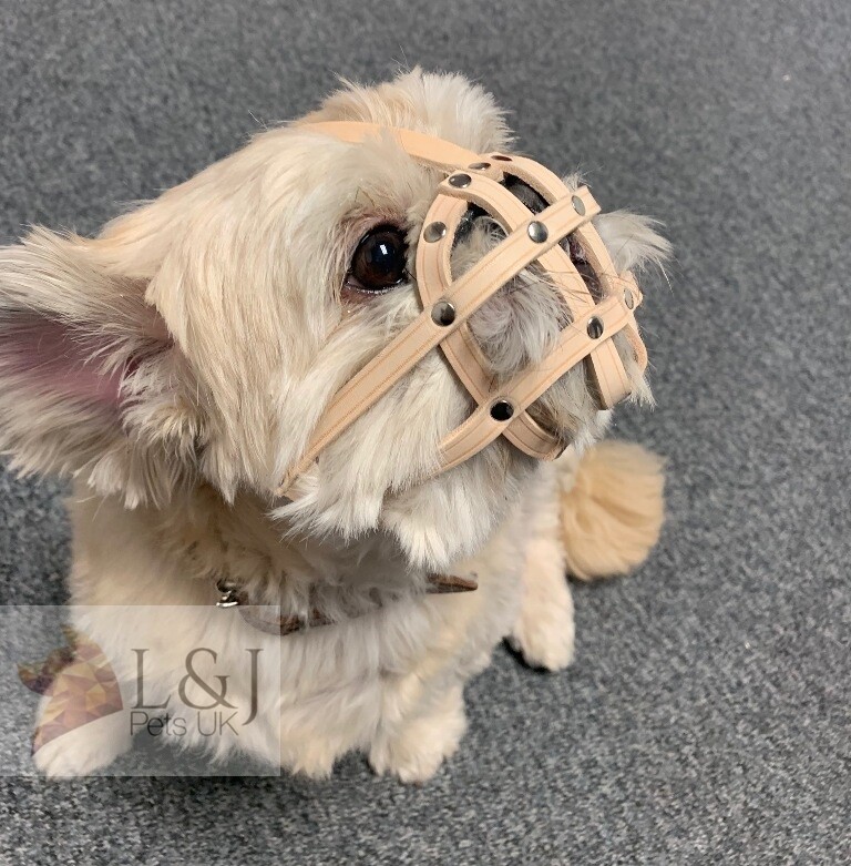 Leather Dog Muzzle | Pug & other flat faced short snout dogs | Durable Material