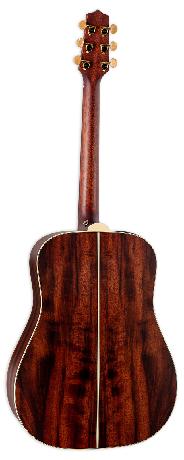 Takamine FN15 AR Limited Amazon Rosewood Acoustic-Electric Guitar w/ Case
