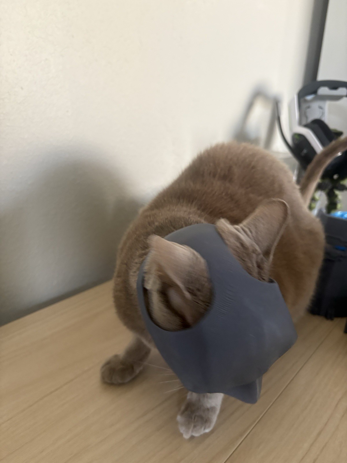 Batman Mask for Cats- Black