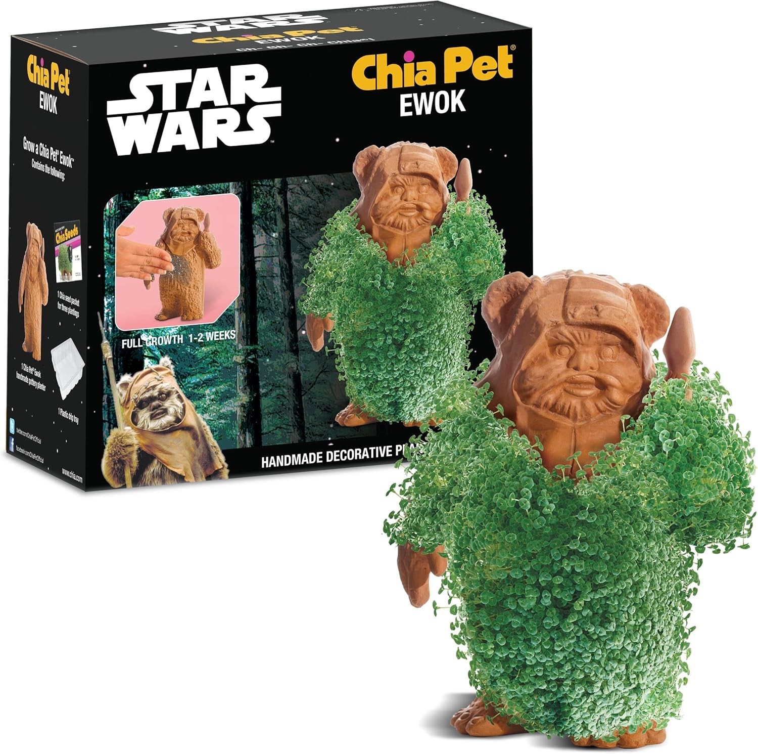 Chia Pet Star Wars Ewok with Seed Pack, Decorative Pottery Planter
