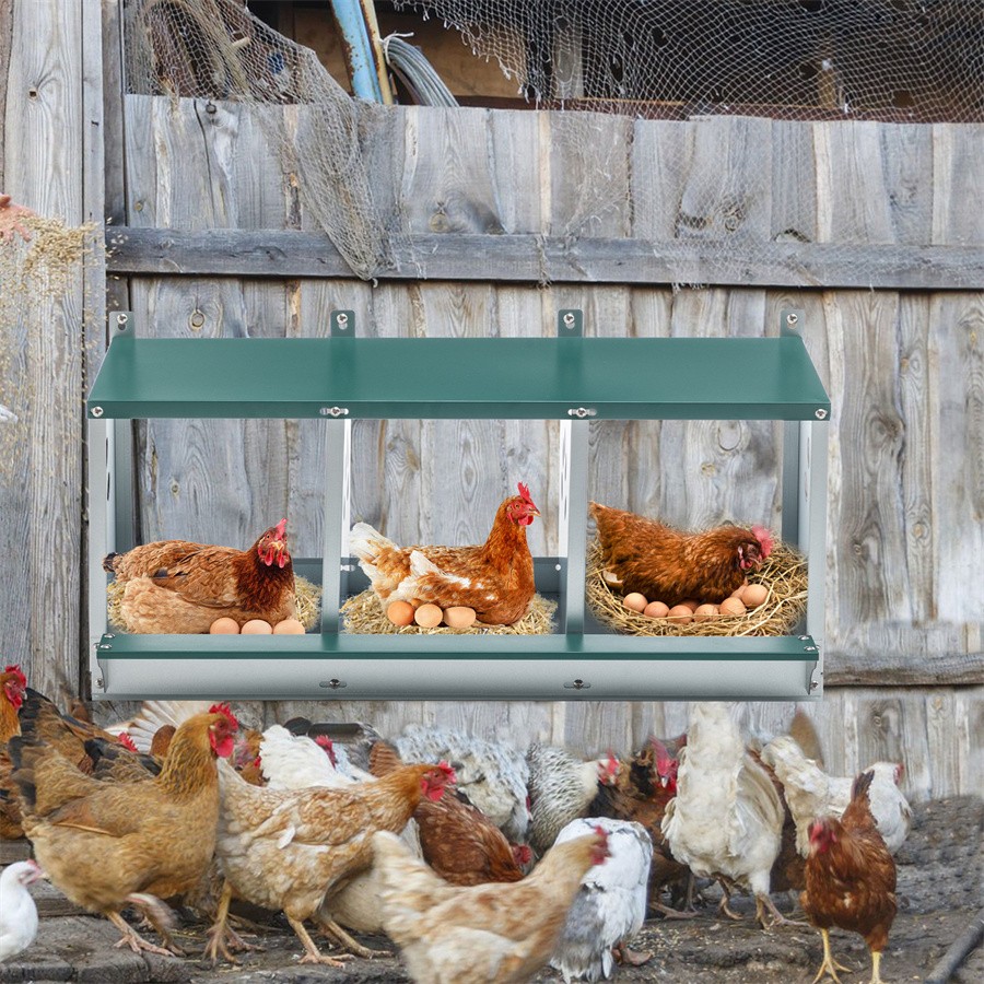 3 Compartment Metal Nesting Boxes for Chicken Nesting Boxes for Hens