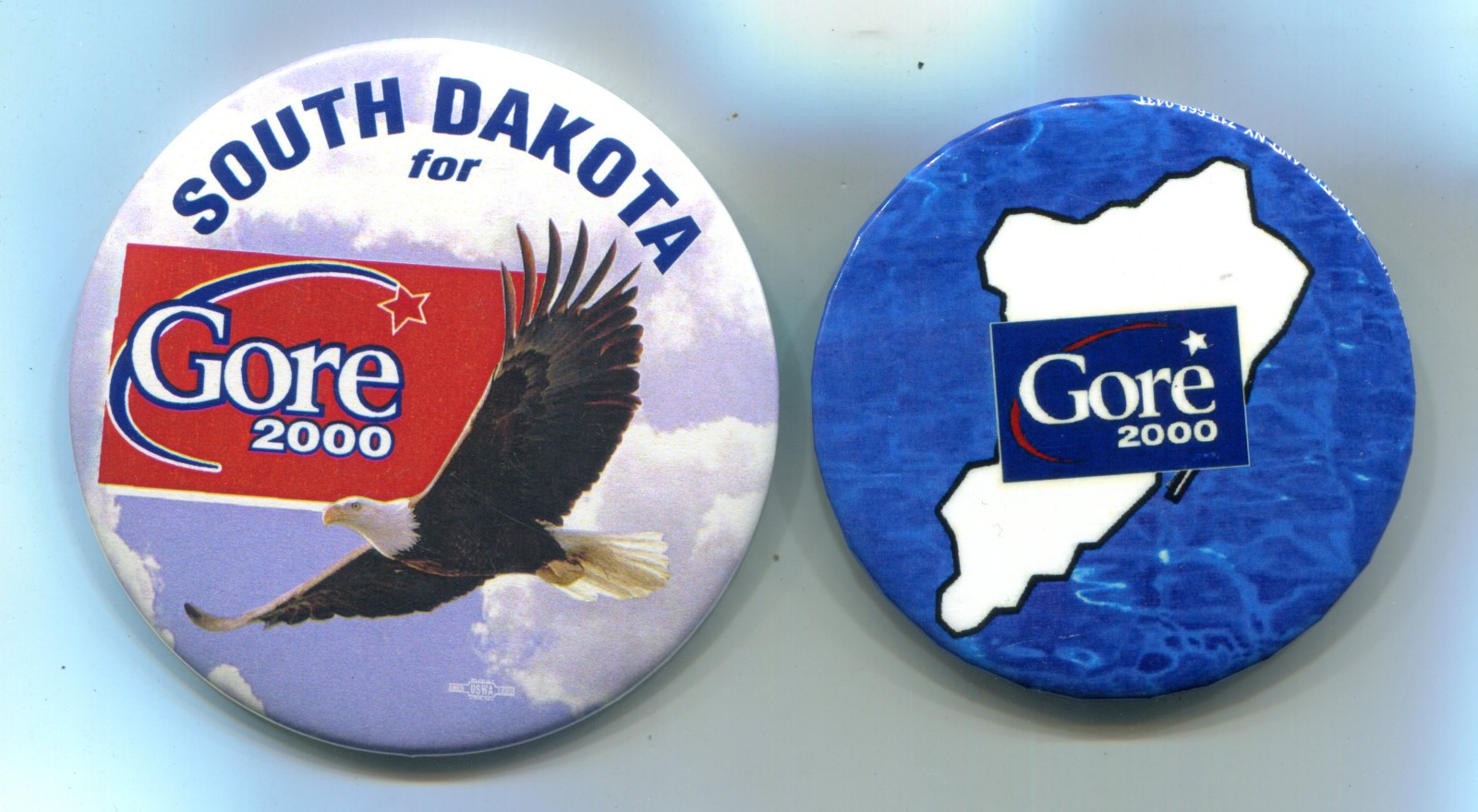 2 Gore Pinback Buttons: Staten Island, South Dakota