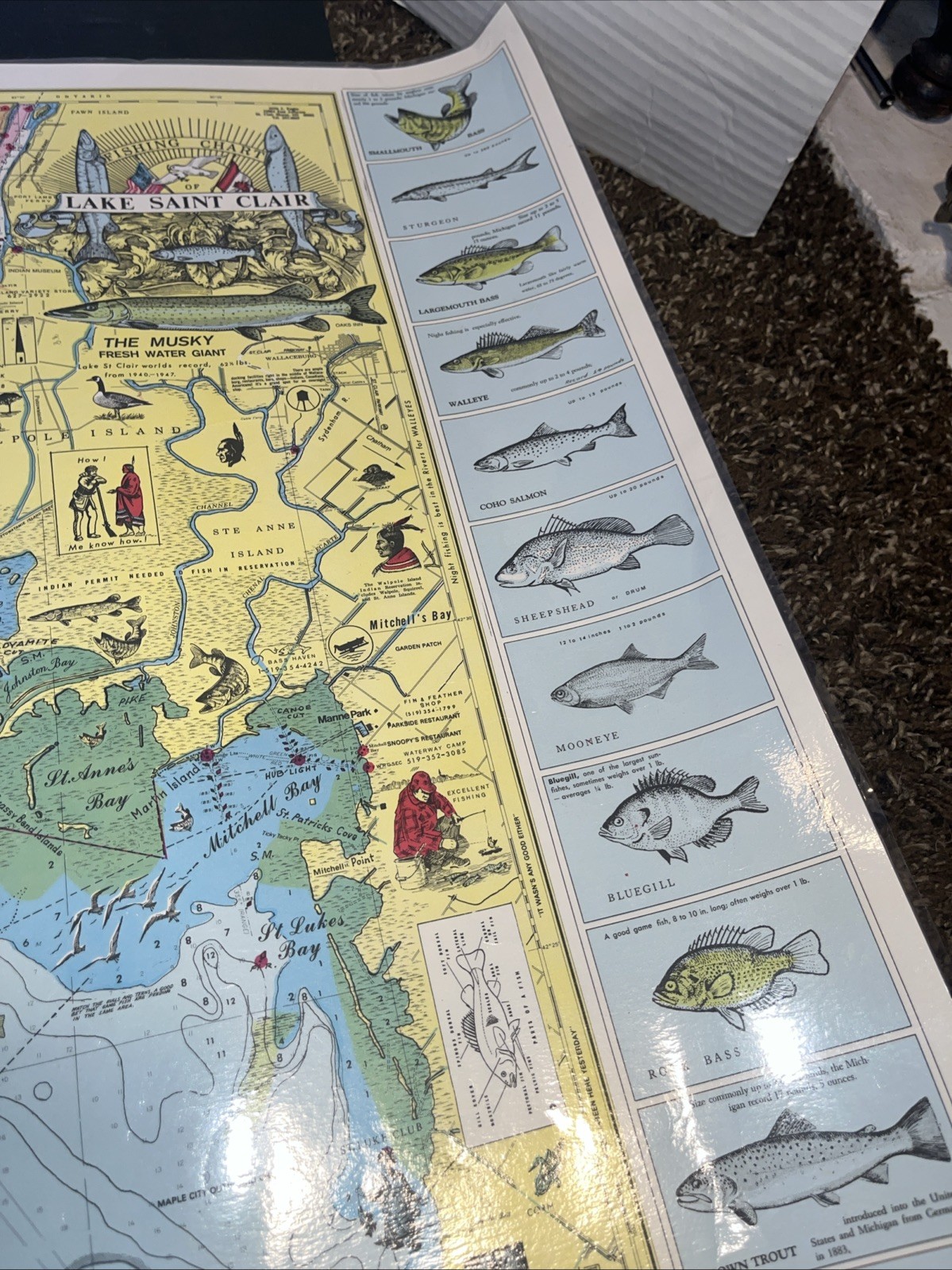 Nautical Fishing Chart Lake St Clair Michigan Laminated Map