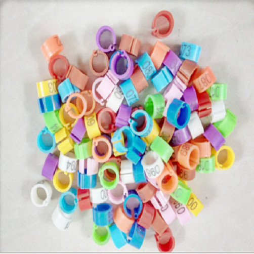 100pcs 8x7 mm Clip On Leg Rings for Bantam Chicks, Quail, Pigeon, Poultry, Doves