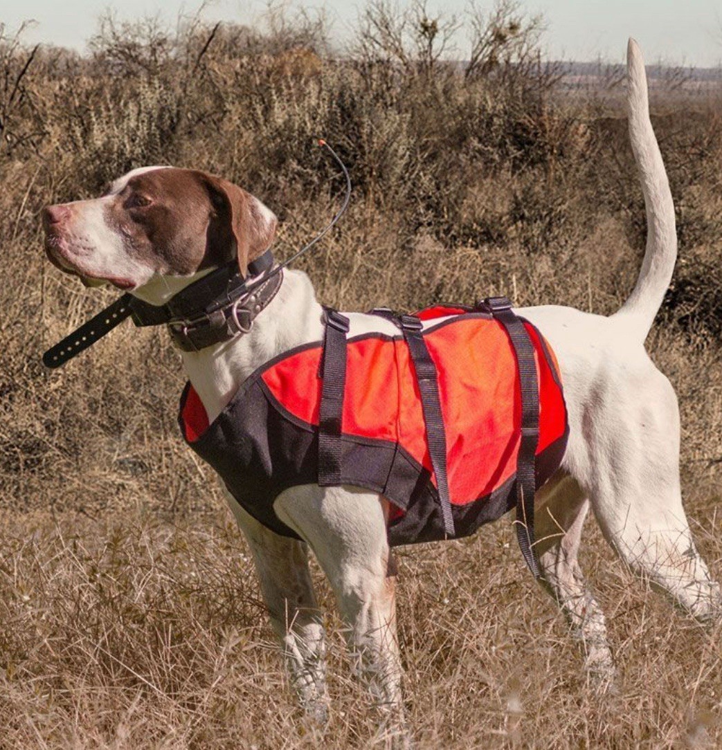 Sylmar Body Guard Vest - Small Orange