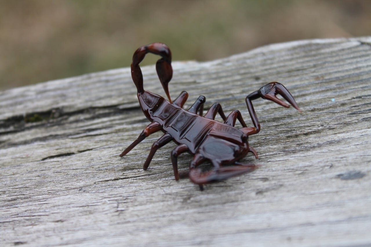 Gift Scorpion Glass Miniature, Animals Glass, Art Glass, Blown Glass, Sculpture