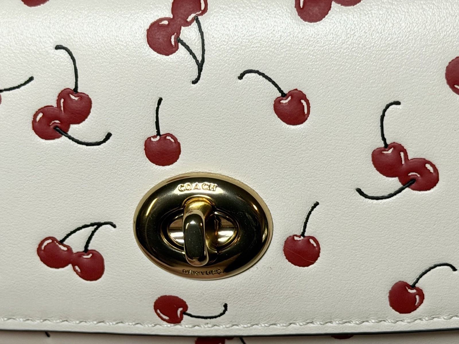 COACH Turnlock Sunglass Case 🍒 Cherry Print - Gold/Chalk Multi - NWT CFA49