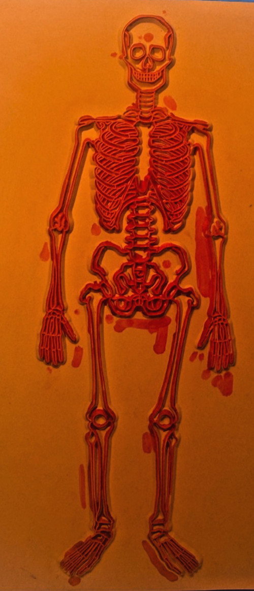 Learning Resources Skeleton Stamp Science Anatomy Classroom Homeschool
